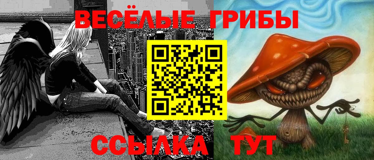 Псилоцибиновые грибы GOLDEN TEACHER Урюпинск