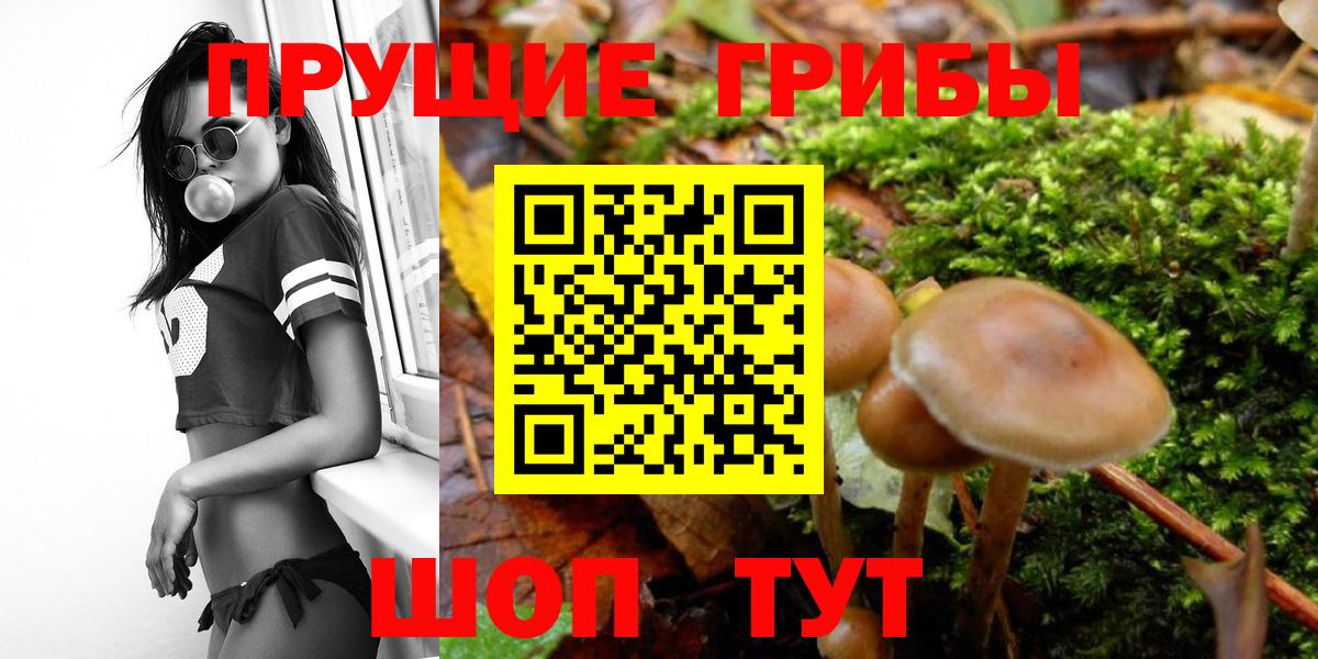 Урюпинск  Галлюциногенные грибы MAGIC MUSHROOMS  Вход с VPN 